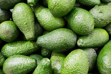 avocado on the market counter