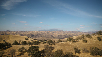 Golden hills with trees and roads in clear day