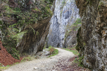 Fototapeta na wymiar Winding road through the gorge in spring, Romania.