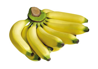 Gros michel banana isolated on white background with clipping path