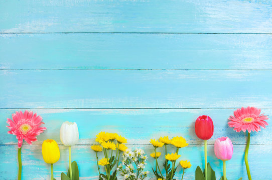 Different kinds of colorful flowers in line on blue wooden background. top view and border design,  flower of spring or summer background.