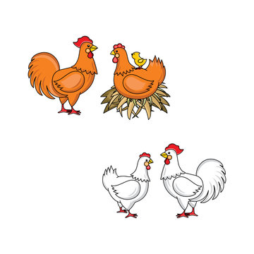 vector flat brown, white rooster, cock with red crest and hen chicken with yellow chick at back in hay nest. Isolated illustration on a white background. Farm poultry advertising, poster design.