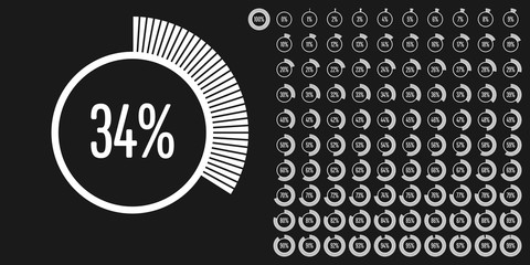 Fototapeta na wymiar Set of circle percentage diagrams from 0 to 100 ready-to-use for web design, user interface (UI) or infographic - indicator with white