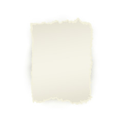 Vector set of torn paper set. Different square shape of blank scraps. Notebook sheets with ripped edges for your design. Realistic isolated illustration on a white background.