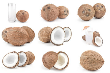 Set of coconut