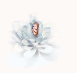 newborn baby inside lily flower © BazziBa