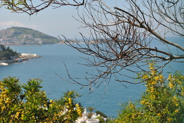 dried corn,kyrytulmuş mısır