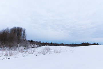 Beautiful view of winter landscape with blue sky, black forest and white ground. Puka, Estonia.