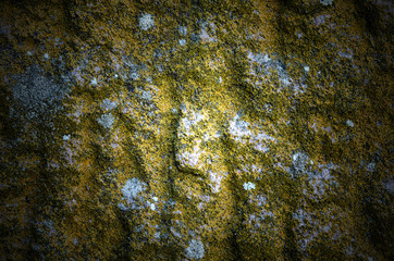 close up the surface stone background, wallpaper.Background of stone wall texture