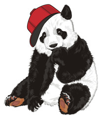 panda, bear, animal, China, zoo, bamboo, illustration, mask, cartoon, shy, Asia, cap, cool