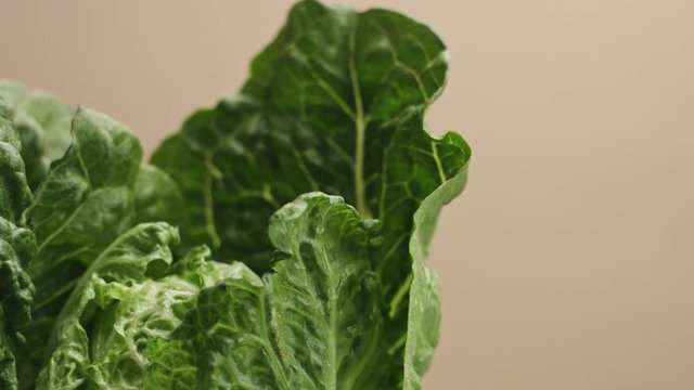 salad leaves closeup movement on beige background with water drops. Fresh green salad leaves