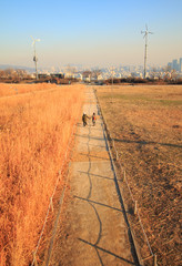 Winter landscape of Haneul Park