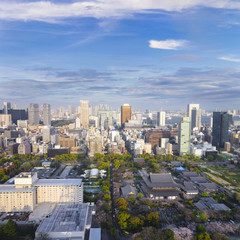 Fototapeta premium Landscape of tokyo city skyline in Aerial view with skyscraper, modern office building and blue sky with cloudy sky background in Tokyo metropolis, Japan.