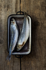 Herring fish. Preparing dinner