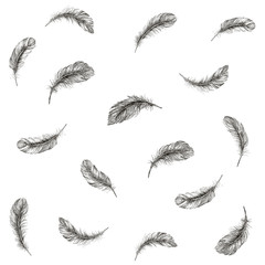 Vector Black and White Feather Pattern