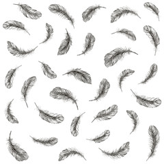 Vector Black and White Feather Pattern