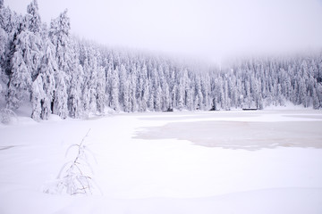 Fototapeta premium Mummelsee im Winter - Schwarzwald 
