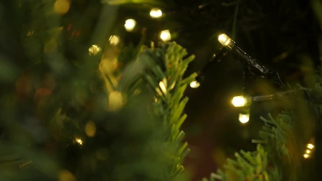 Shallow DOF Christmas warm color light blinks footage - Sparkling of fairy lights on the tree branches close-up