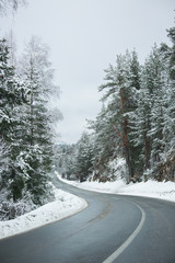 Mountain winter road through the forest