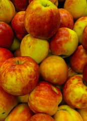 Fototapeta na wymiar Beautiful, juicy, fresh red apples in a box.