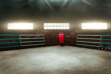 Boxing ring 3D - obrazy, fototapety, plakaty