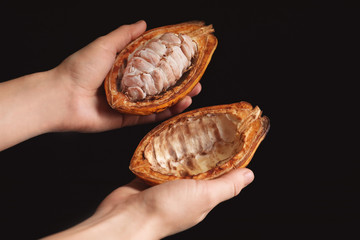 Woman holding cut cocoa pod on black background, closeup