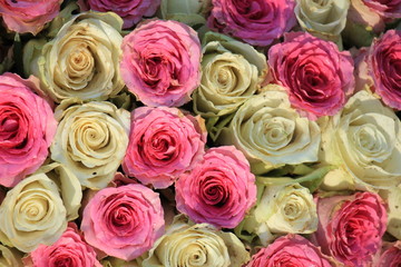 Mixed wedding roses