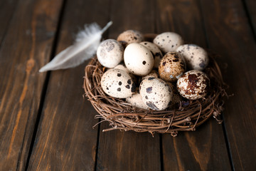 Quail eggs in bird nest and feather on wooden table