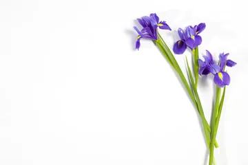 Deurstickers Iris de Violet Irissen xiphium (Bulbous iris, Iris sibirica) op witte achtergrond met ruimte voor tekst. Bovenaanzicht, plat gelegd. Vakantie wenskaart voor Valentijnsdag, Vrouwendag, Moederdag, Pasen!