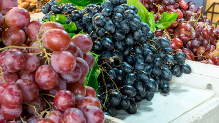 Fresh grapes on sales in the market