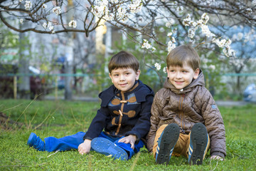Happy little brothers kids in spring garden with blooming trees, outdoors