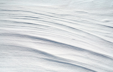 close on drift snow background, winter seasonal scene