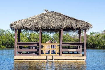 Tiki Hut Over the Water - 188098393