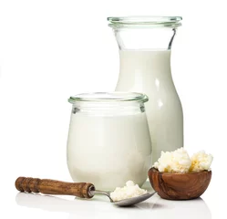  Milk kefir grains. milk kefir, or búlgaros, is a fermented milk drink that originated in the Caucasus Mountains made with kefir "grains", a yeast/bacterial fermentation starter. © motorolka