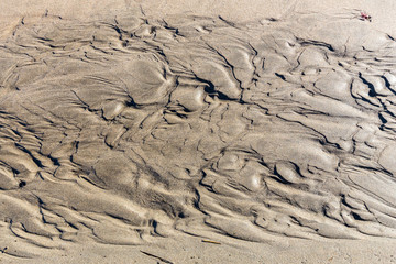  sand on a wild beach