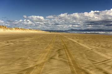 Fototapeta na wymiar Reifenspuren am Ninety Mile Beach in Neuseeland