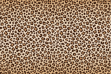 Leopard texture, brown beige with darker border. Vector