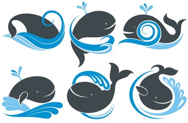 Naklejka premium Wieloryby z pluskiem wody