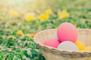 Bright colorful Easter eggs in a basket on green glass. Holidays concept.