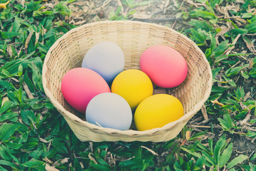 Bright colorful Easter eggs in a basket on green glass. Holidays concept.