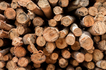 Dry chopped firewood logs in a pile
