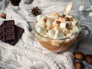 Fototapeta na wymiar Cozy winter home background. Cocoa in a glass Cup with a marshmallow, chocolate cinnamon cones and nuts