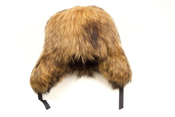 Winter fur hat of beaver on white background