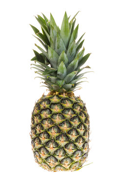 Ripe whole pineapple isolated on white background.