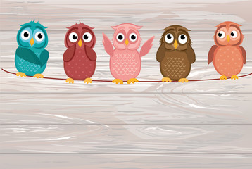 Cute colored owlet sitting on a rope. 