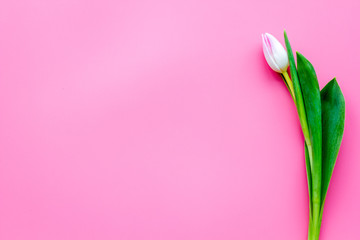 Pale pink spring tulips on pastel pink background top view copy space