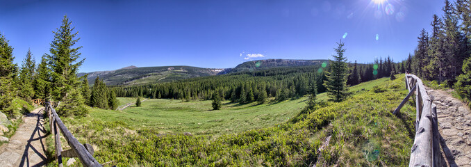 Fototapety na wymiar - Fototapeta24.pl