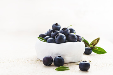 Freshly picked blueberries in a white vintage ceramic bowl. Selective focus. Free text space.