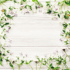 hello spring flat lay. fresh daisy lilac flowers and green herbs frame on white wooden rustic background top view. greeting card. space for text. mock-up. happy mothers day. earth day