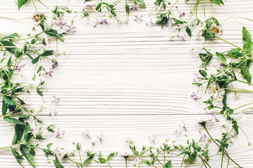 fresh daisy lilac flowers and green herbs frame on white wooden rustic background top view. happy earth day. hello spring flat lay. greeting card. space for text. mock-up. happy mothers day